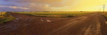 Country crossroads passing through a landscape, Edmonton, Alberta, Canada von Panoramic Images