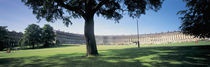 Tree in front of a building, Royal Crescent, Bath, England von Panoramic Images