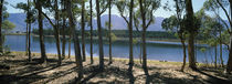 A dam on a farm in Hermon, South Africa by Panoramic Images