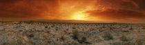 Sunset over a desert, Palm Springs, California, USA by Panoramic Images