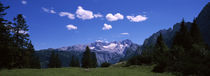 Alpine meadow in front of mountains, Dachstein Mountains, Upper Austria, Austria by Panoramic Images