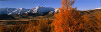 Castle Hill Basin Torlesse Mountains New Zealand von Panoramic Images