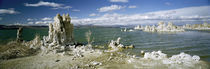 Tufa rock formations at the lakeside, Mono Lake, California, USA von Panoramic Images