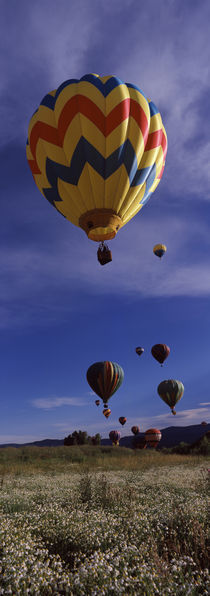 Steamboat Springs, Routt County, Colorado, USA by Panoramic Images