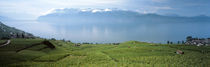 Vineyard at the lakeside, Lake Geneva, Switzerland von Panoramic Images