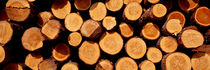 Logs, Austria, Europe von Panoramic Images