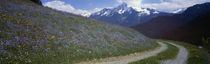 Road Through Hillside, Zillertaler, Austria by Panoramic Images