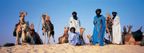  Tuareg Camel Riders, Mali, Africa von Panoramic Images