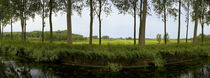 Channel passing through a landscape from Brugge to Damme, Belgium von Panoramic Images