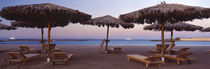 Lounge chairs with sunshades on the beach, Hilton Resort, Hurghada, Egypt by Panoramic Images