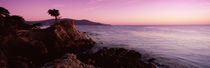  17 mile Drive, Carmel, California, USA von Panoramic Images