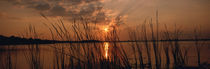 Sunset over a lake, Lake Travis, Austin, Texas von Panoramic Images