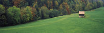 Barn in a field, Switzerland by Panoramic Images