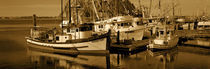 Fishing boats in the sea, Morro Bay, San Luis Obispo County, California, USA von Panoramic Images