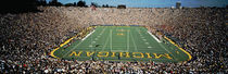 University Of Michigan Stadium, Ann Arbor, Michigan, USA by Panoramic Images