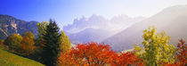 Dolomites Alps, Italy by Panoramic Images