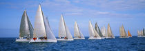 Yachts in the ocean, Key West, Florida, USA von Panoramic Images