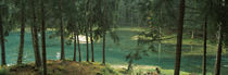 Dolomites, Cadore, Province of Belluno, Veneto, Italy by Panoramic Images