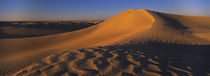 Sand dunes in a desert, Douz, Tunisia von Panoramic Images