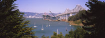 Treasure Island, Oakland, San Francisco, California, USA by Panoramic Images