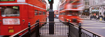Double-Decker buses on the road, Oxford Circus, London, England by Panoramic Images