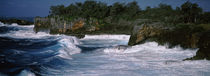 Waves breaking on the coast, Vava'u, Tonga, South Pacific by Panoramic Images