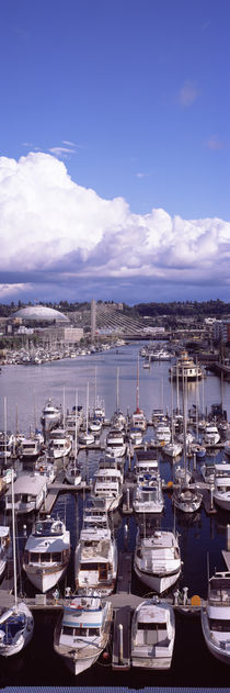 Pierce County, Washington State, USA by Panoramic Images