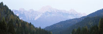 Cadore, Province of Belluno, Veneto, Italy by Panoramic Images