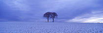 Warter, East Yorkshire, England by Panoramic Images