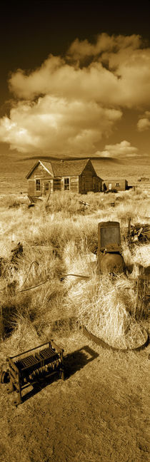 House in a ghost town, Bodie Ghost Town, Mono County, California, USA von Panoramic Images