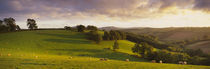 Mid Devon, Devon, England by Panoramic Images