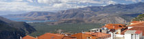 Houses on a hill, Itea, Delphi, Phocis, Greece by Panoramic Images