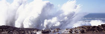 Waves breaking on the coast, Shore Acres State Park, Oregon, USA von Panoramic Images