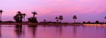 Menara, Marrakech, Morocco by Panoramic Images