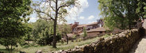 Trees near a stone wall, San Martin del Castanar, Salamanca Province, Spain von Panoramic Images