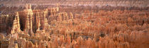 Aerial View Of The Grand Canyon, Bryce Canyon National Park, Utah, USA by Panoramic Images