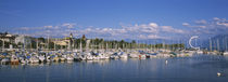 Boats moored at a harbor, Lake Geneva, Lausanne, Switzerland von Panoramic Images