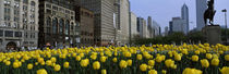 South Michigan Avenue, Chicago, Cook County, Illinois, USA by Panoramic Images