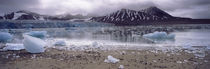 Ice floes in the sea with a glacier in the background, Norway by Panoramic Images