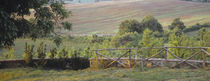 Fence in a vineyard, Barbaresco DOCG, Piedmont, Italy von Panoramic Images
