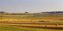 Slope country ND USA by Panoramic Images