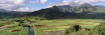  Hanalei Valley, Kauai, Hawaii, USA von Panoramic Images