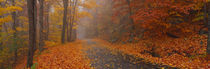 Panorama Print - Autumn Road, Monadnock Mountain, New Hampshire, USA von Panoramic Images