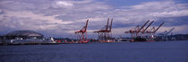 Ferry in the bay, Seattle, King County, Washington State, USA by Panoramic Images