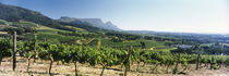 Cape Town, Western Cape Province, South Africa by Panoramic Images