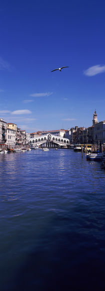 Bridge across a canal, Rialto Bridge, Grand Canal, Venice, Veneto, Italy von Panoramic Images