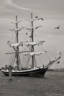 Hansesail 2009 - Rostock Warnemünde by captainsilva