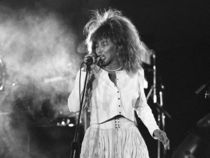 Tina Turner in Concert von James Menges