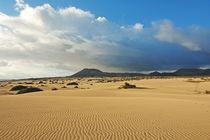 Fuerteventura, Dünenlandschaft bei Corralejo by Frank Rother