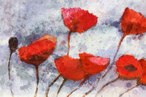 Roter Mohn - Red Poppies by Lutz Baar